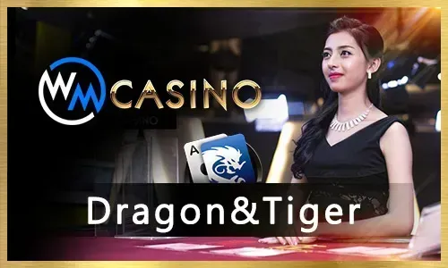 Bingo Winning Tips